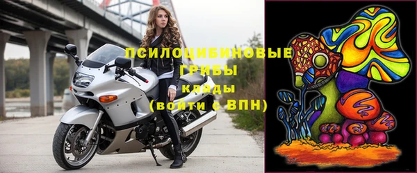 ГАЛЛЮЦИНОГЕННЫЕ ГРИБЫ Бронницы