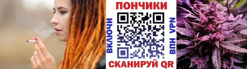 хочу наркоту  Светогорск  Бошки Шишки конопля 